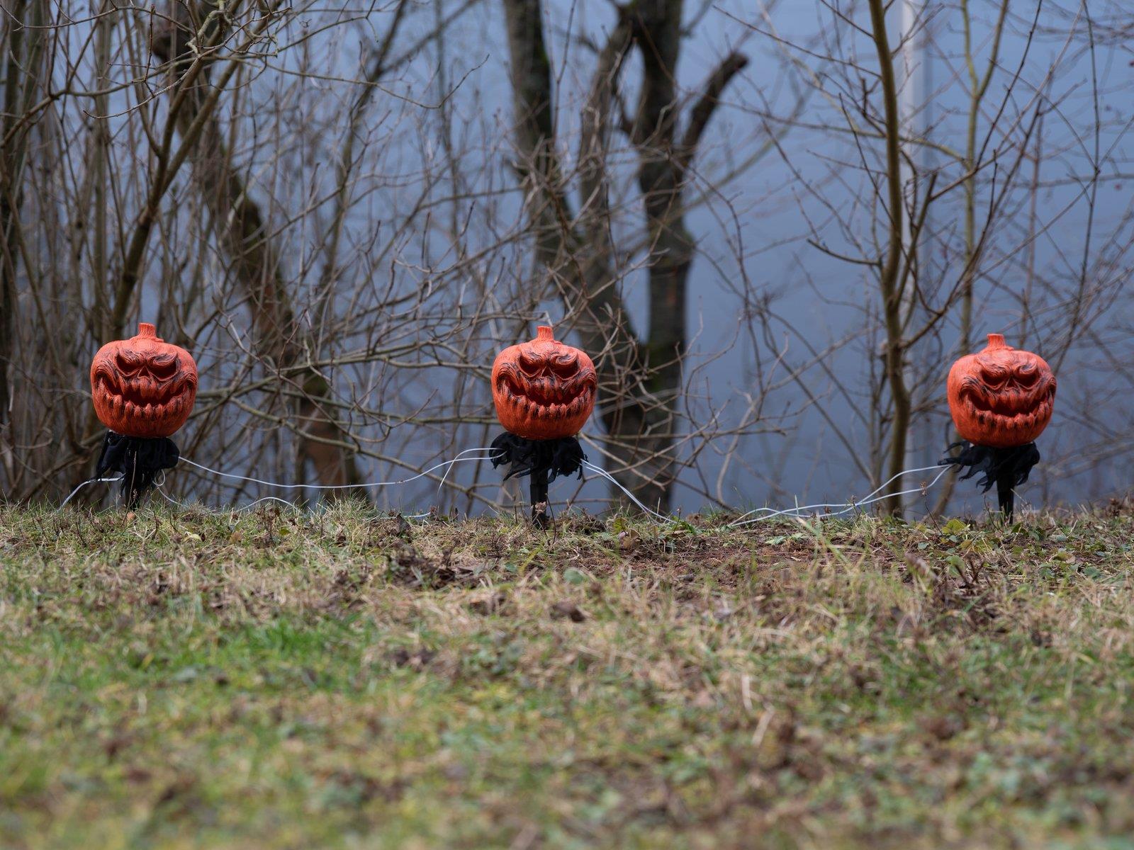 EUROPALMS Halloween Kürbisse mit Erdspieß, 3er...